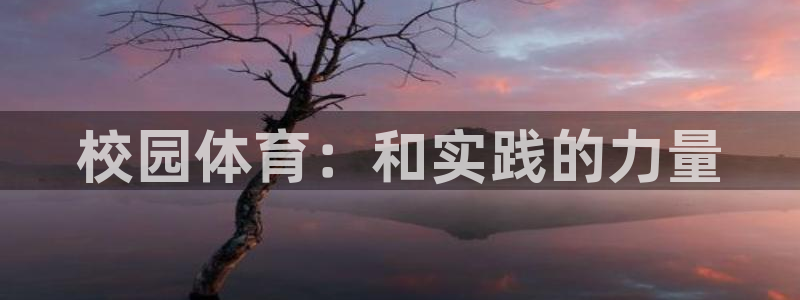 vsport体育在线官网：校园体育：和实践的力量