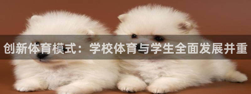 vsport体育在线官网：创新体育模式：学校体育与学生全面发展并重