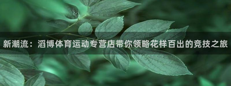 vsport体育：新潮流：滔博体育运动专营店带你领略花样百出的竞技之旅