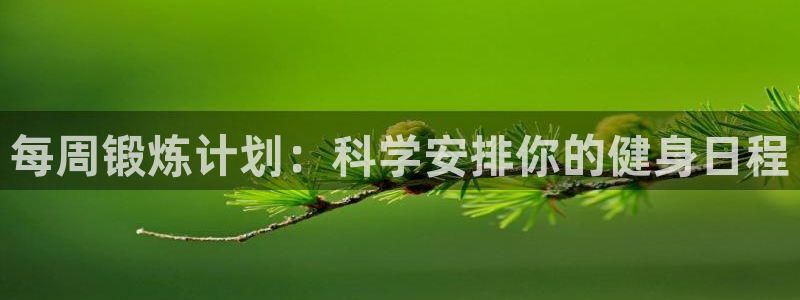 vsport体育：每周锻炼计划：科学安排你的健身日程
