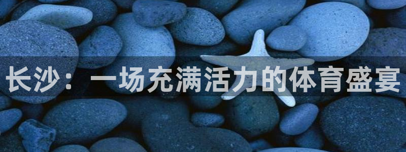 vsport体育在线官网：长沙：一场充满活力的体育盛宴
