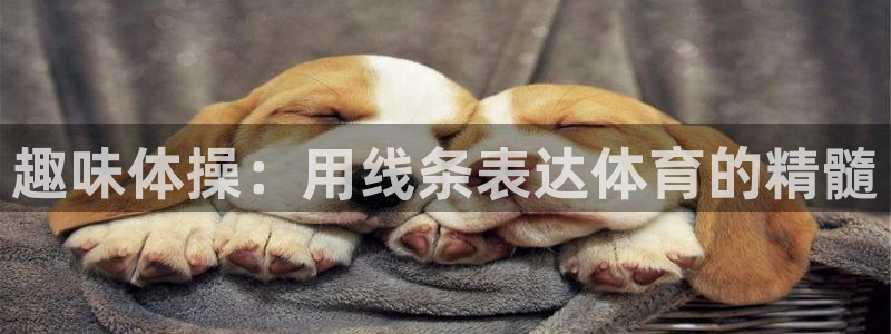 vsport体育：趣味体操：用线条表达体育的精髓