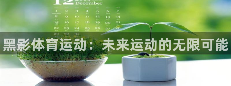 vsport体育在线官网：黑影体育运动：未来运动的无限可能