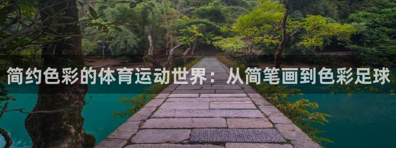vsport体育在线官网：简约色彩的体育运动世界：从简笔画到色彩足球