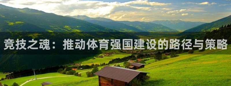 vsport体育在线官网：竞技之魂：推动体育强国建设的路径与策略
