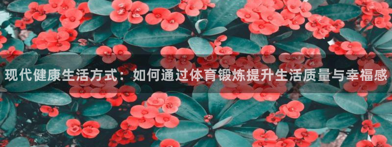 vsport体育：现代健康生活方式：如何通过体育锻炼提升生活质量与幸福感