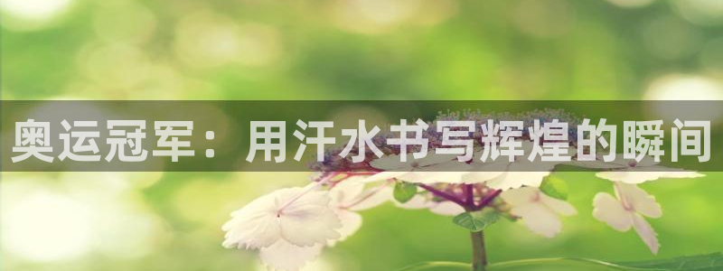 vsport体育在线官网：奥运冠军：用汗水书写辉煌的瞬间