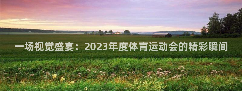 vsport体育在线官网：一场视觉盛宴：2023年度体育运动会的精彩瞬间