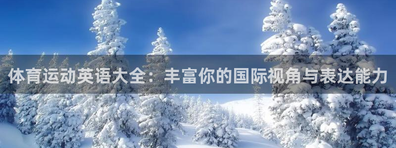 vsport体育：体育运动英语大全：丰富你的国际视角与表达能力
